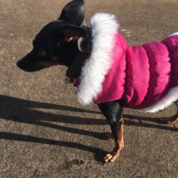 Meet your Posher, Rona - Picture 9 of 11